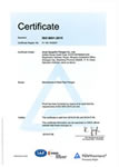 Shandong Hyupshin Flanges Co., Ltd, Forged Flanges Manufacturer, Exporter, TUV ISO9001 2015 certificate